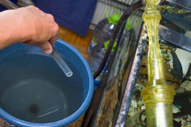 水管 水桶 水 魚缸 魚缸換水步驟