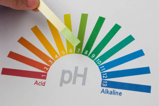 pH值 魚缸水質檢測試紙 如何測試魚缸水質